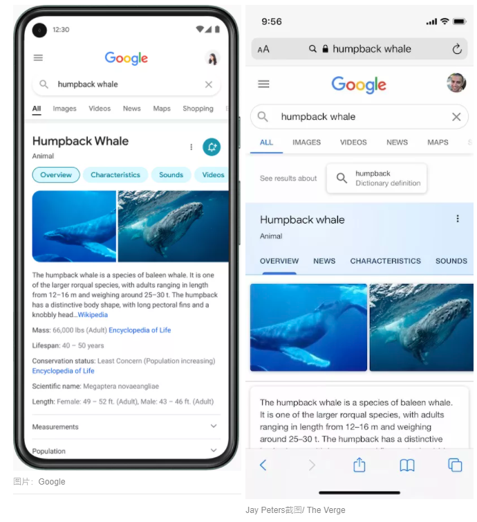 Google redesigns search look on mobile devices to improve user experience