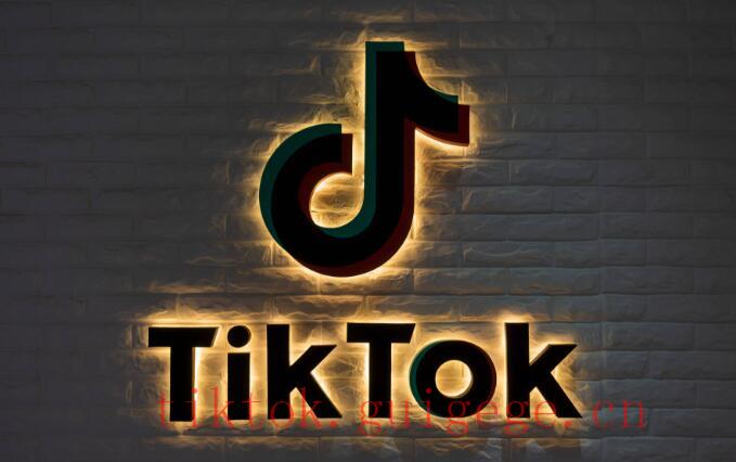 How do I get more people to follow me on TikTok in Japan?