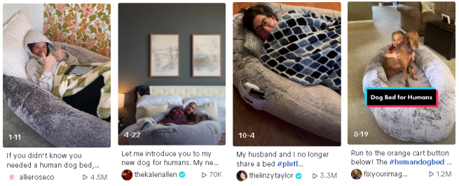 Two recent college grads create a human dog bed that goes viral on TikTok