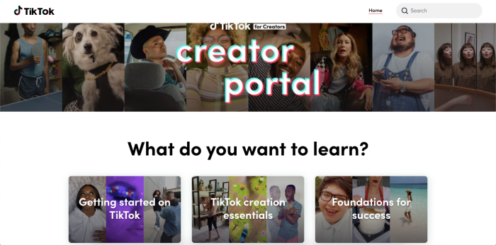 TikTok launches "Creator Portal" to help creators "reach the pinnacle of life"!