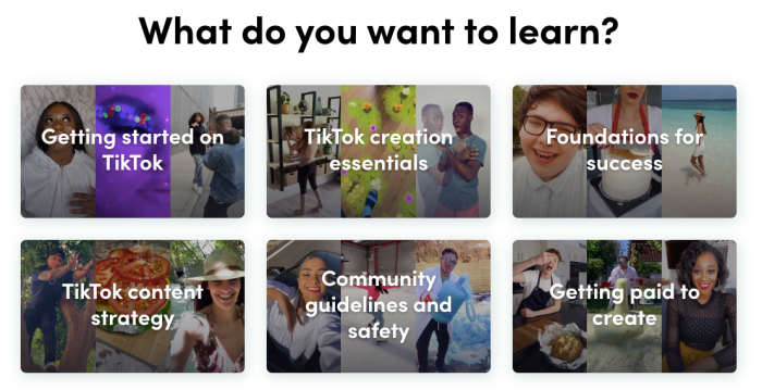 TikTok launches "Creator Portal" to help creators "reach the pinnacle of life"!